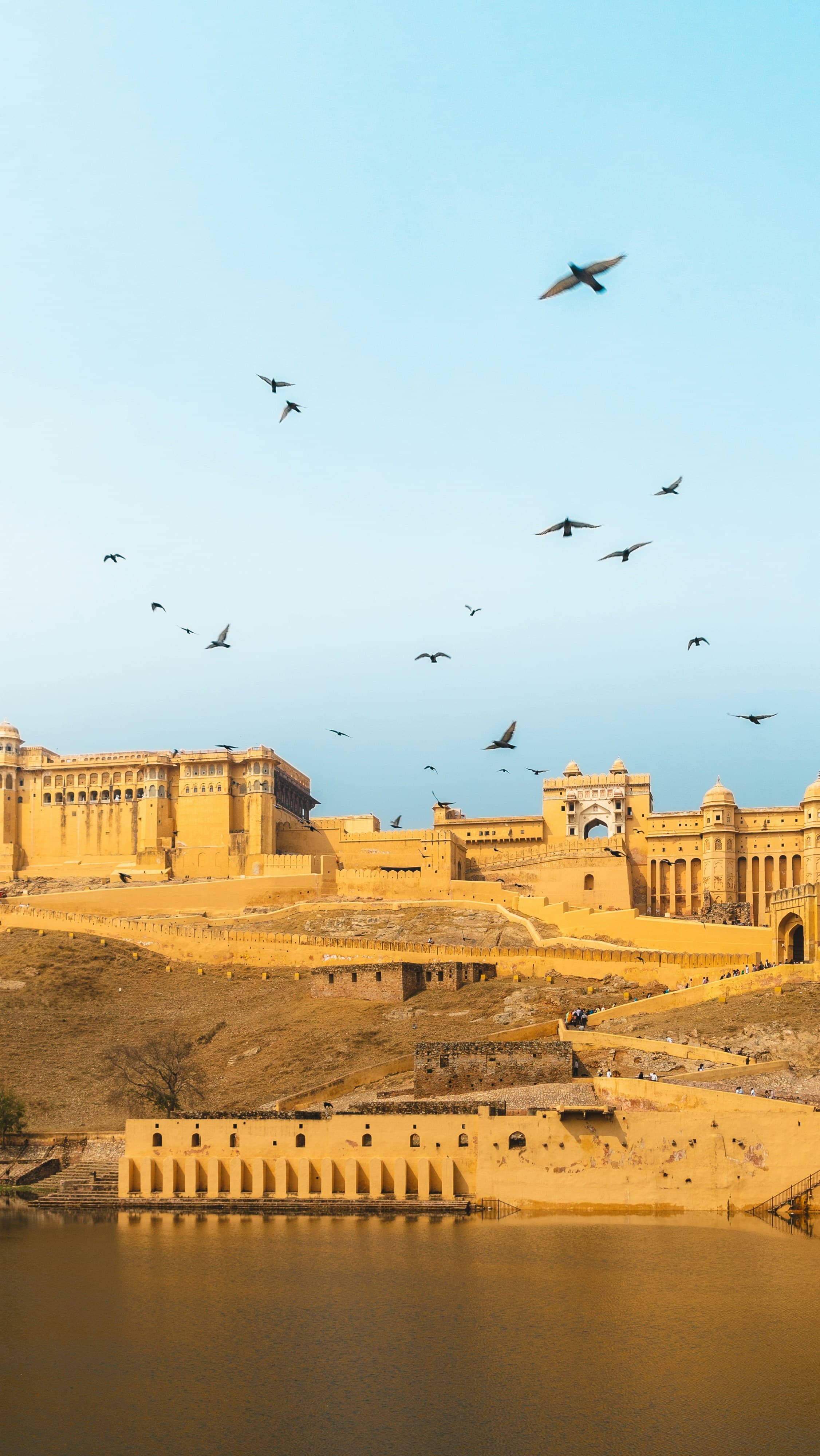 The wild heart of Rajasthan — Jawai experience