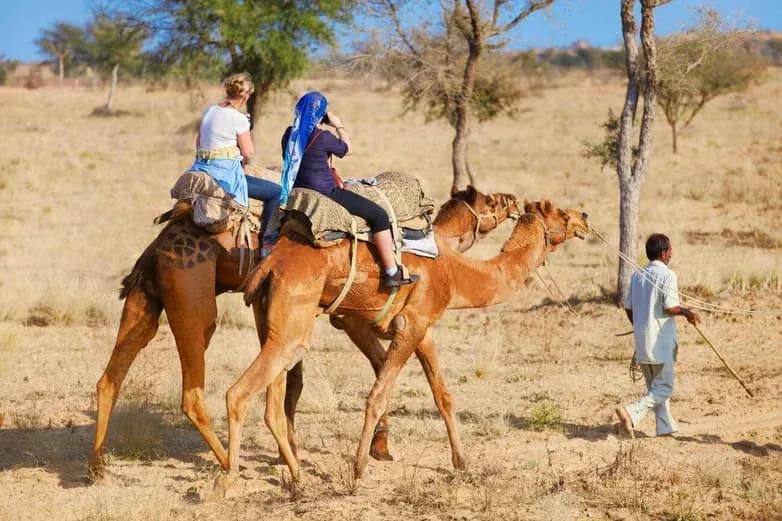 Camel Riding in jawai