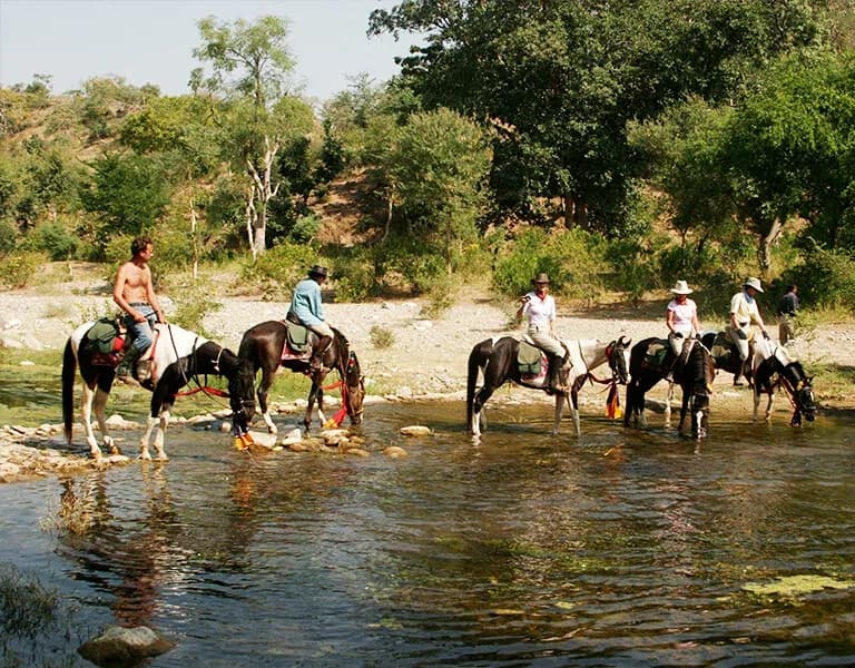 Horse Riding in Jawai