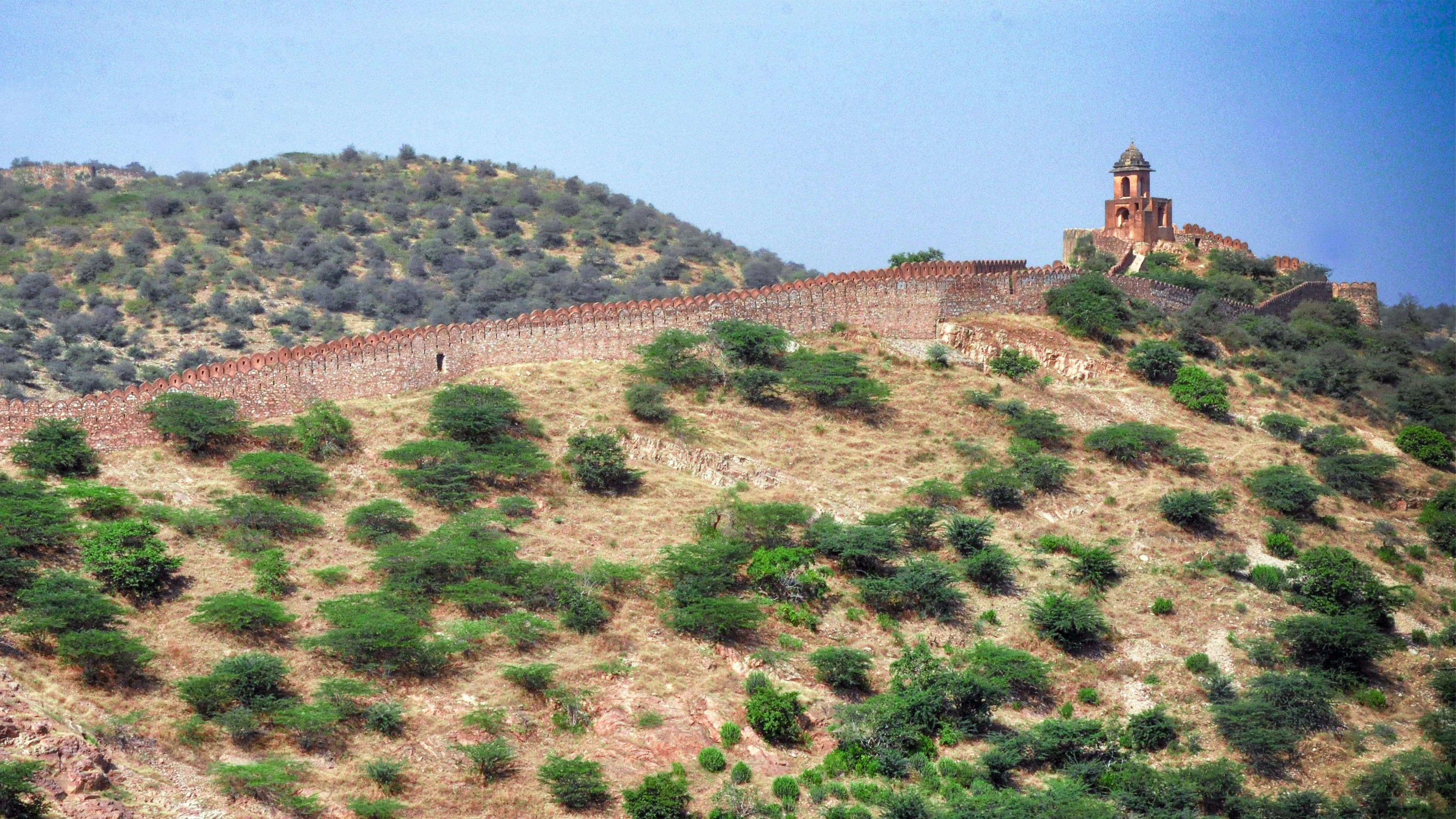 Private Full Day Jawai Safari