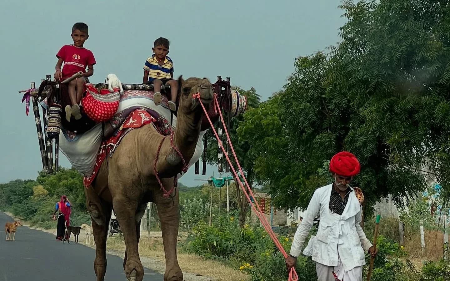 Jawai Village Safari