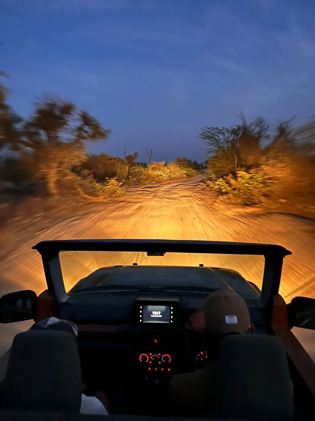Sunset Leopard Safari