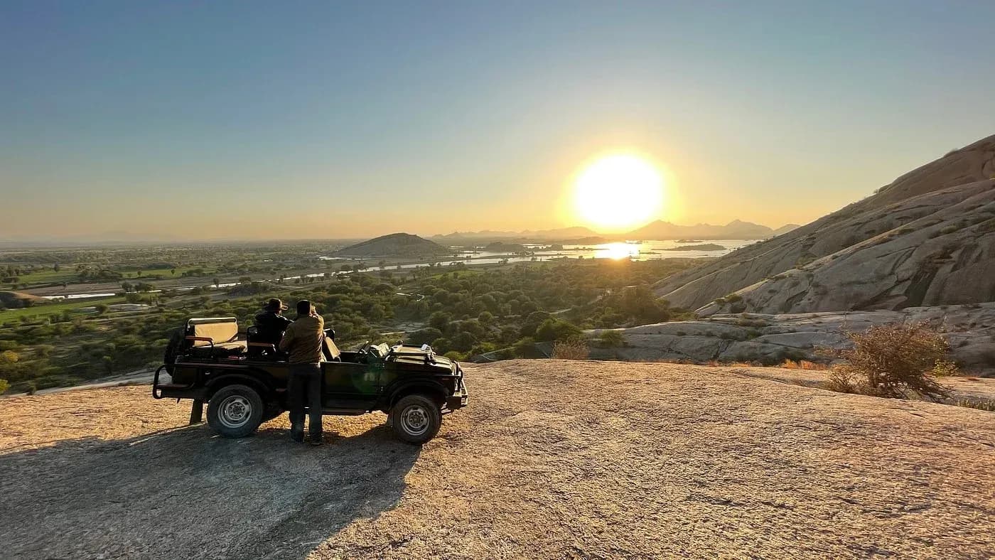 Sunrise Leopard Safari